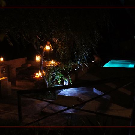 Dream Of Africa Bush Lodge 말로스 파크 외부 사진