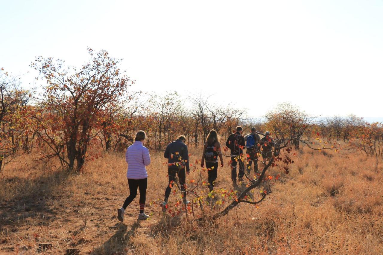 Dream Of Africa Bush Lodge 말로스 파크 외부 사진