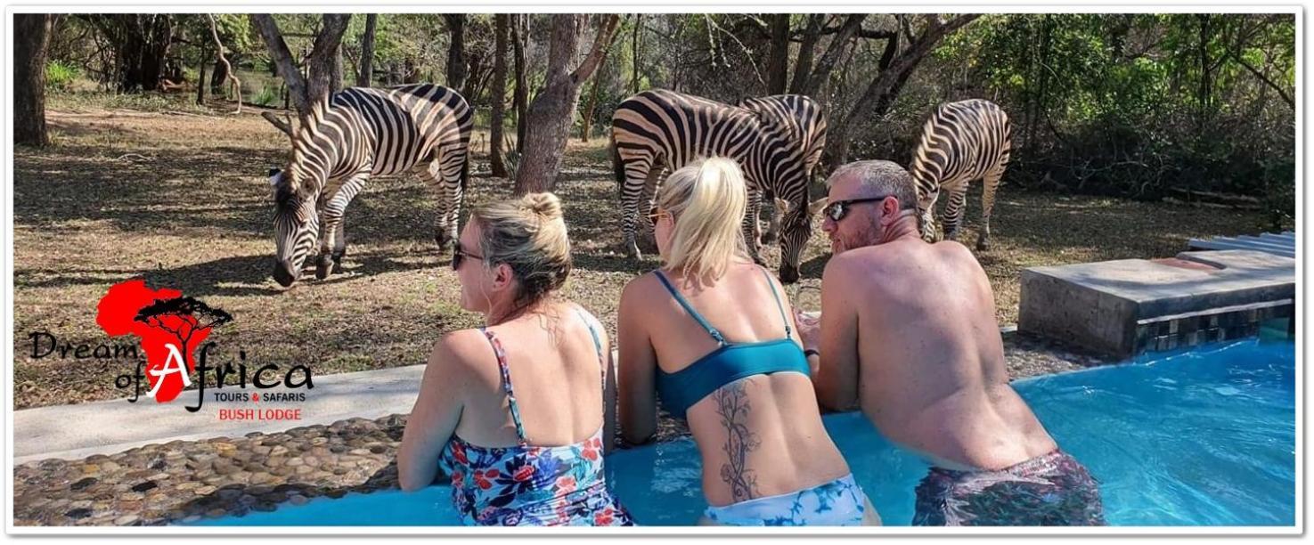 Dream Of Africa Bush Lodge 말로스 파크 외부 사진
