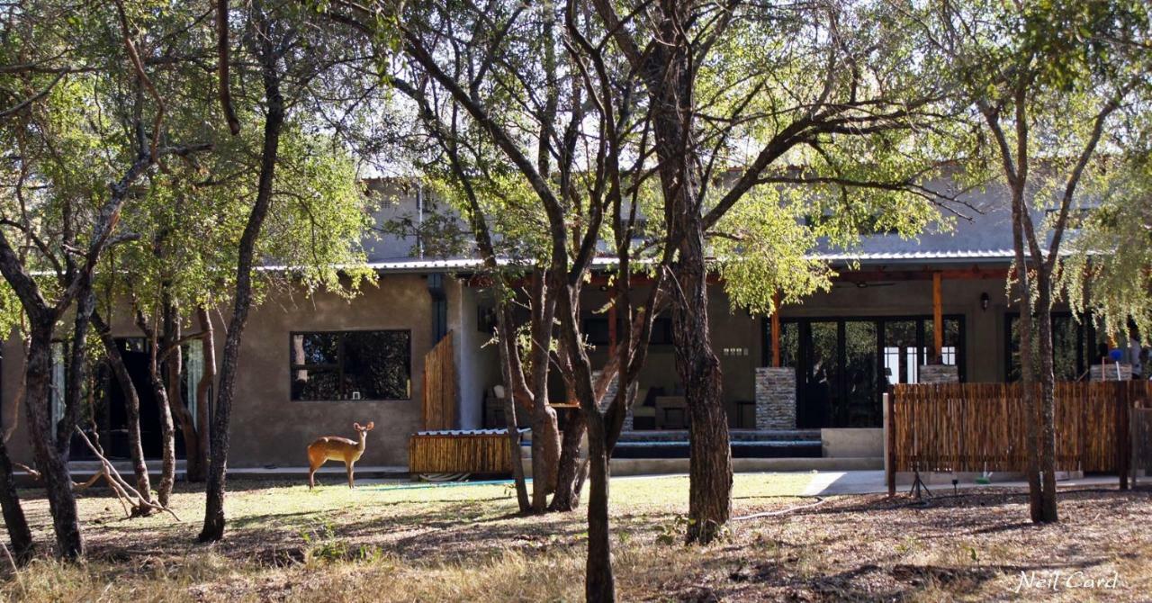 Dream Of Africa Bush Lodge 말로스 파크 외부 사진
